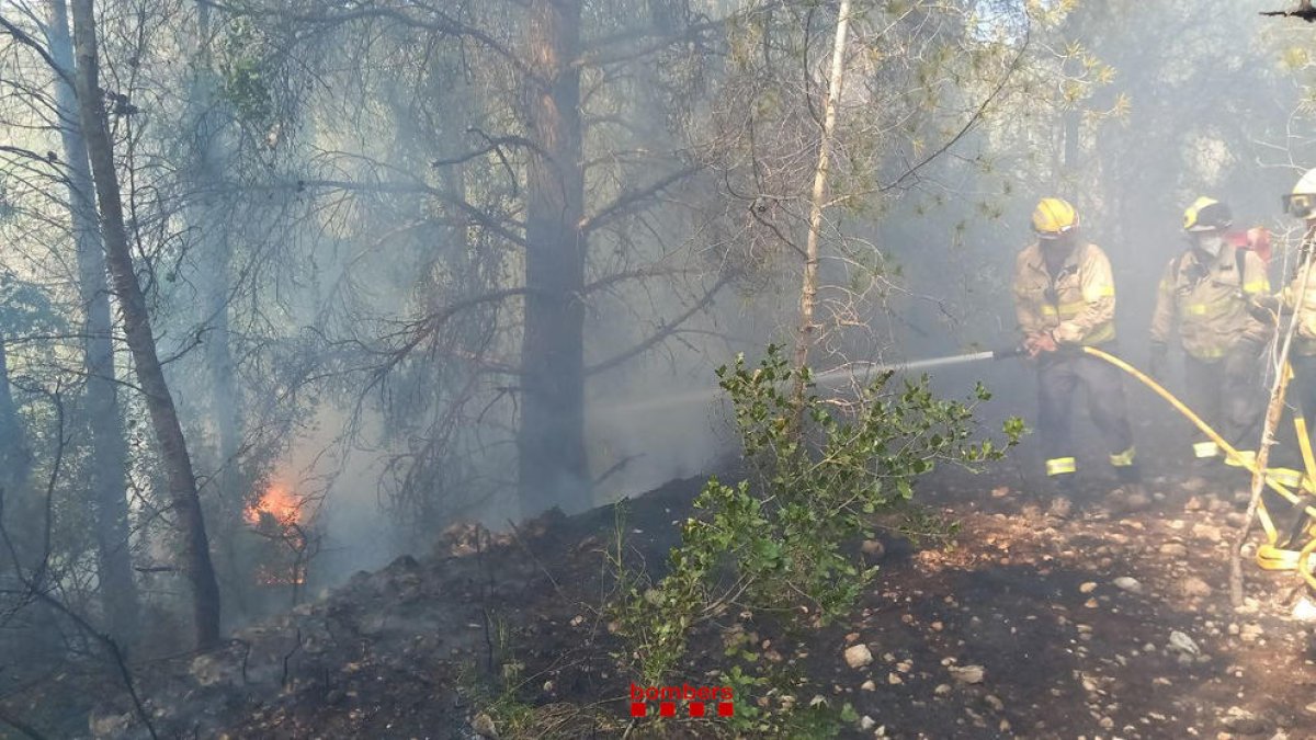 Imatge de l'incendi forestal a Tortosa.