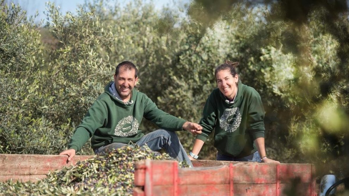 Torclum ha guanyat el premi Best Storytelling amb el seu producte «Masia» que inclou 12 ampolles d'oli d'oliva verge extra ecològic.