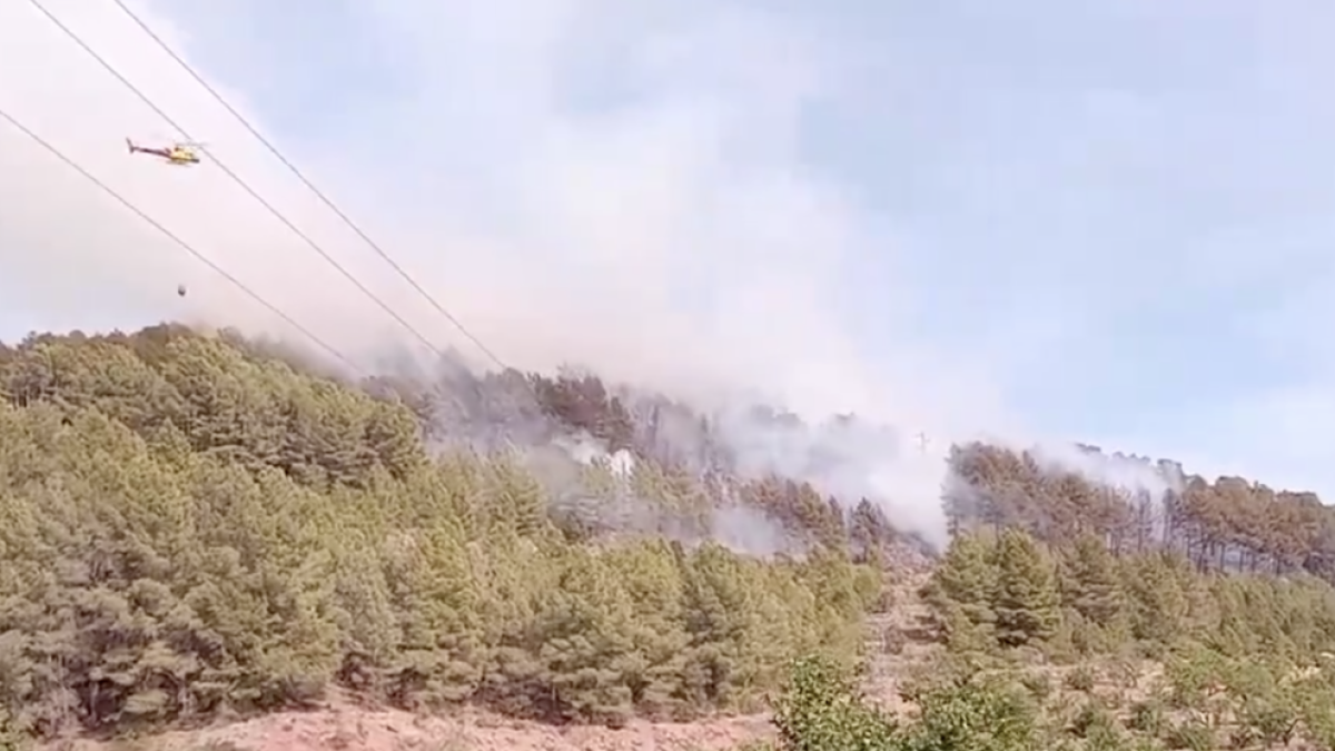 Imatge de l'incendi a Vandellòs i l'Hospitalet de l'Infant.