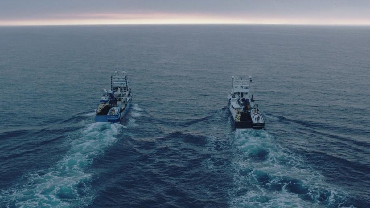 Dos barcos de la empresa Balfegó durante la campaña de captura de atún.