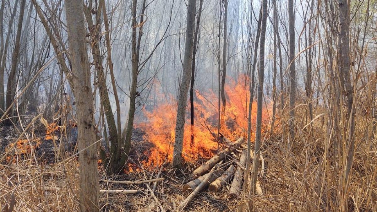 Incendi al bosquet de l'estany d'Ivars i Vila-sana.