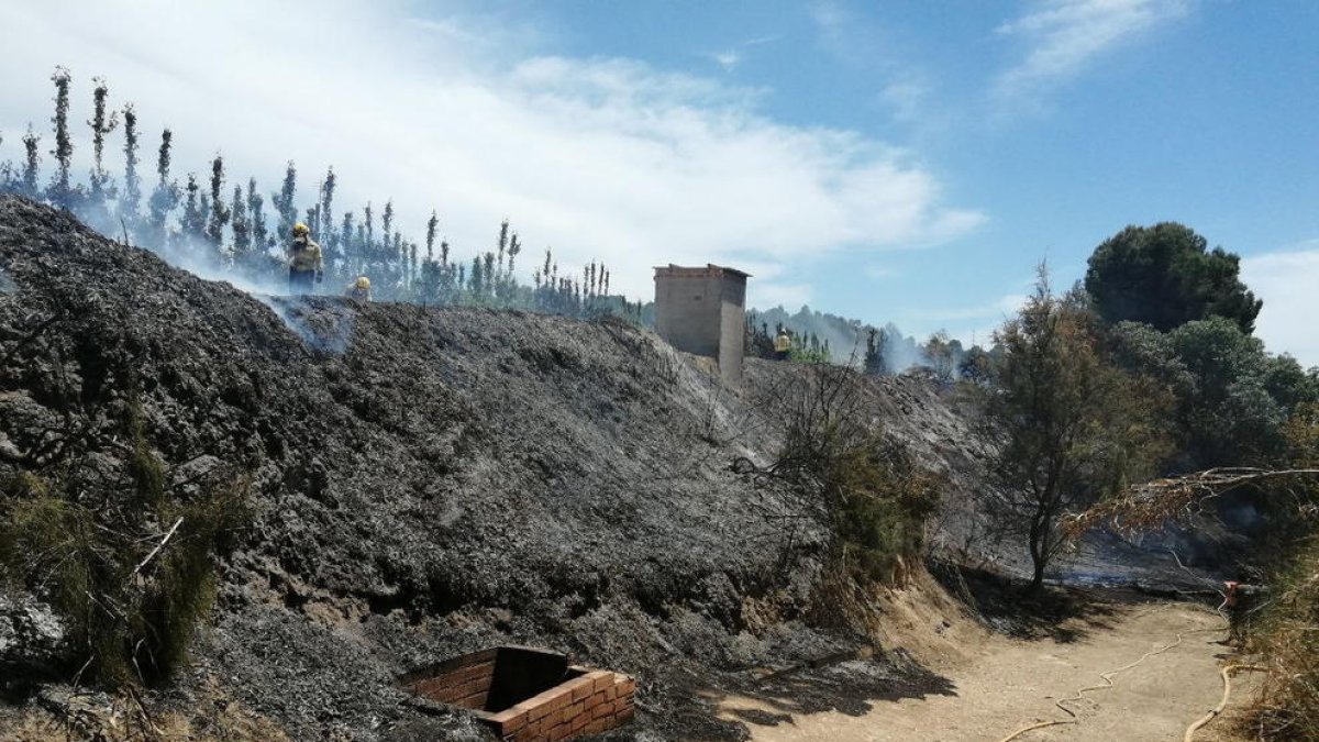 El fuego de Flix ha quemado 900 metros cuadrados de vegetación de ribera.