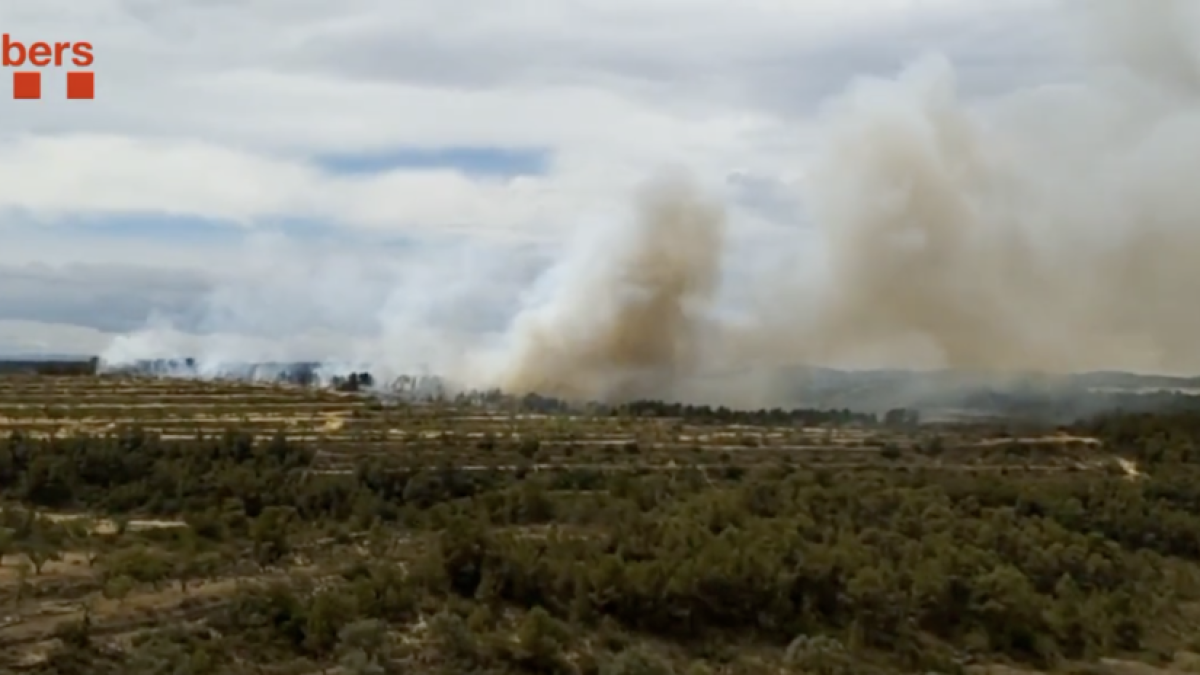 Imatge de l'incendi de la Pobla de Massaluca.