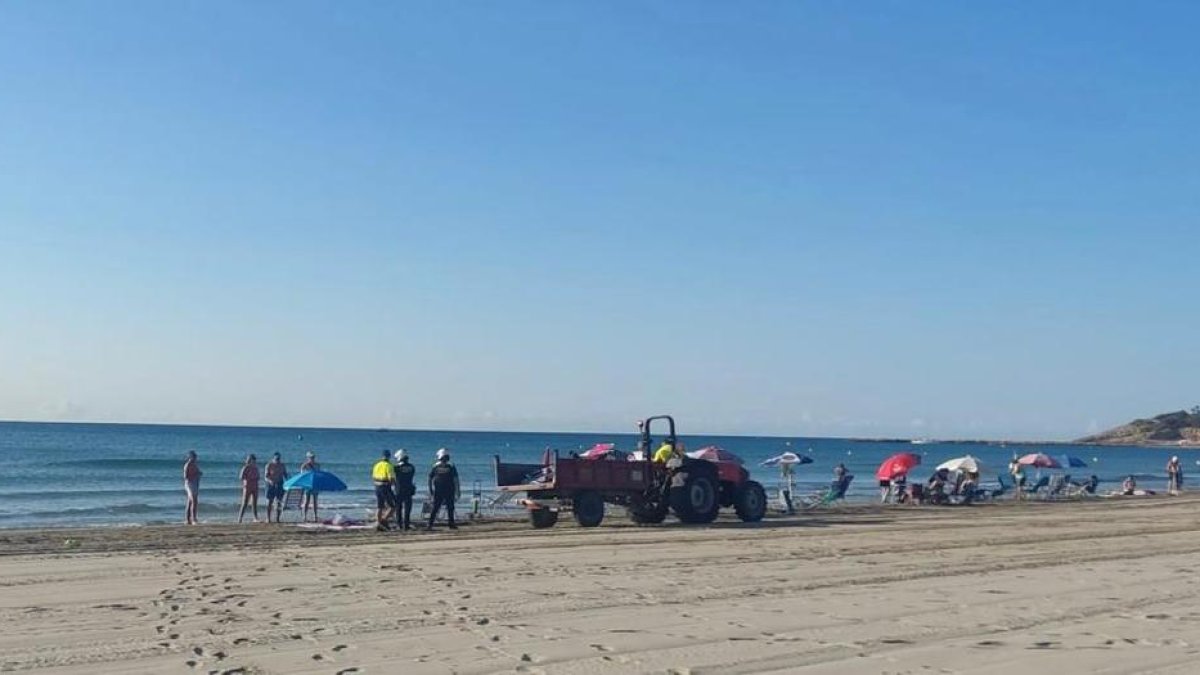 La Brigada Municipal y la Policía Local durante la retirada de sillas y parasoles en la Pineda.