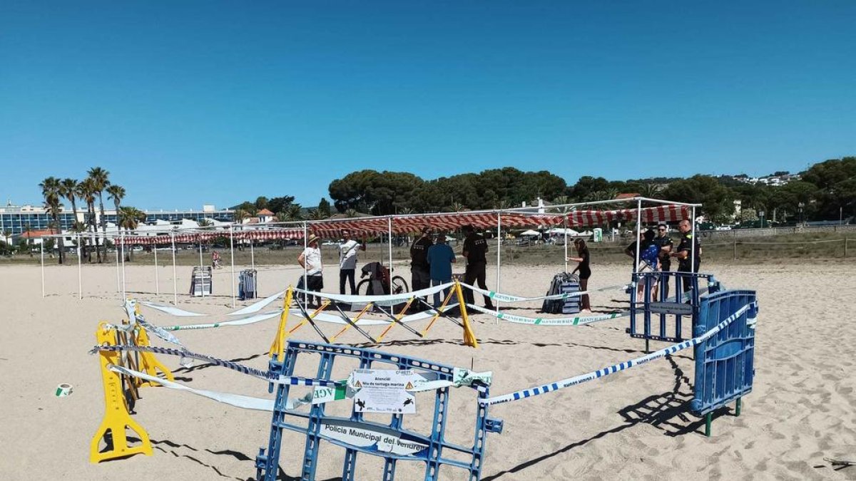 Zona delimitada amb tanques de plàstic per a protegir els ous de tortuga.