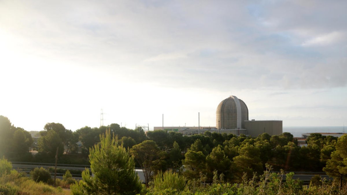 Imatge de les instal·lacions de la central nuclear de Vandellòs.