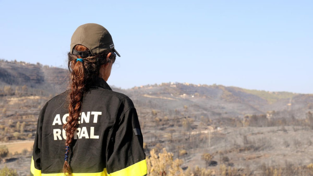 Una agent rural contempla la zona de l'incendi .