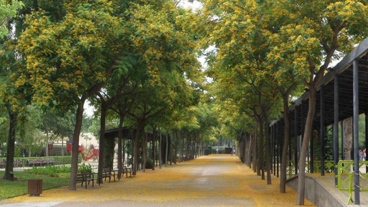 Los jardines públicos o privados sólo podrán regarse dos días a la semana.