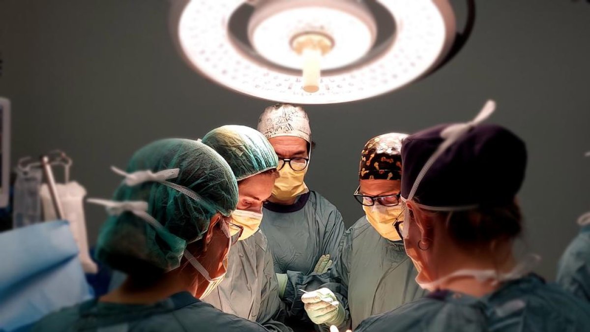 Imatge de professionals de l'Hospital de Sant Pau durant una de les operacions.