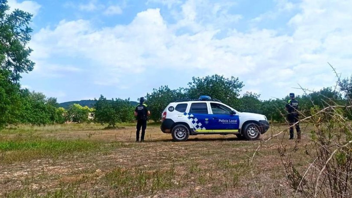 Imatge de la vigilància de la Policia Local de Roda de Berà per evitar furts de garrofes.