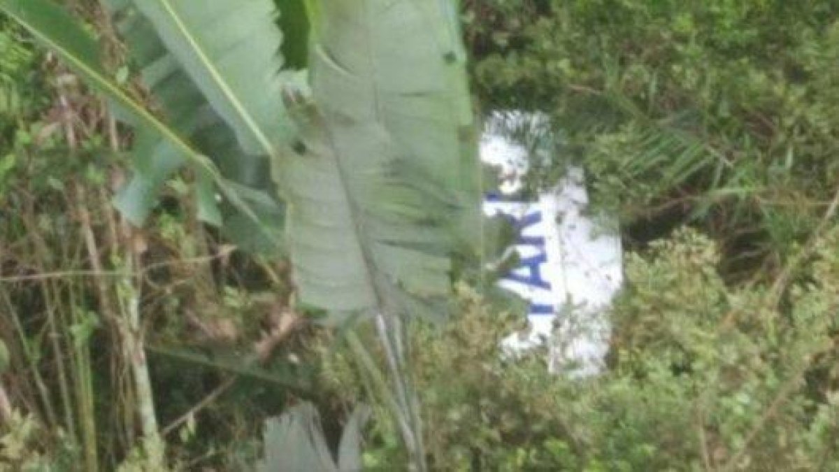 La aeronave cayó en zona selvática del Guaviare.