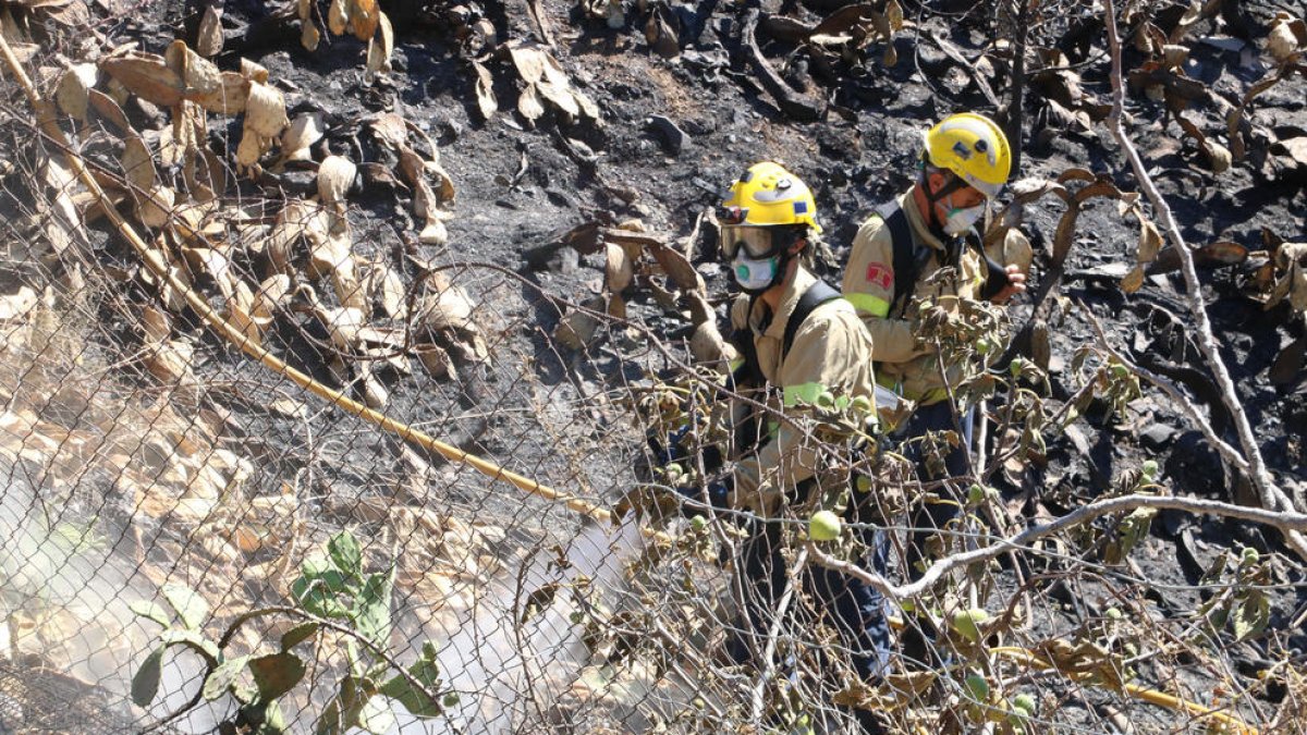 Dos bomberos acaban de remojar una zona que todavía humea por el fuego de Portbou.