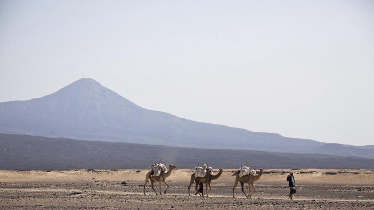 Fotografía de archivo fechada en 2011 de un camellero en el desierto de Danakil, cerca del volcán Erta Ale en la región de Afar, en el norte de Etiopía