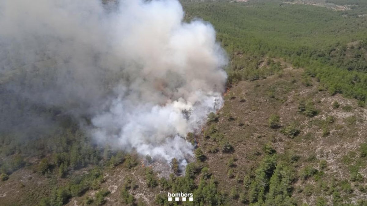El foc forestal s'ha decretat en una zona de difícil accés.