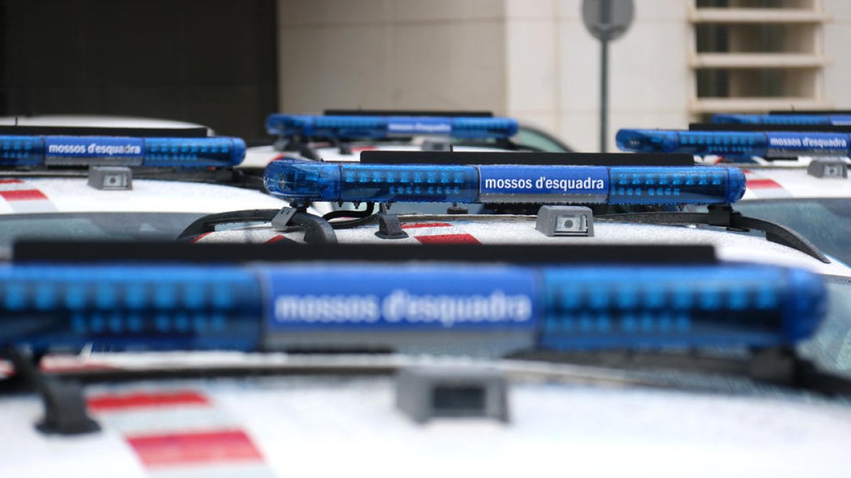 Pla conjunt de vehicles dels Mossos d'Esquadra.