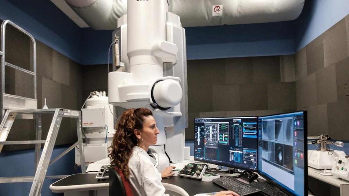 El microscopio electrónico de transmisión de alta resolución de la Plataforma Nanotecnológica CatSud.