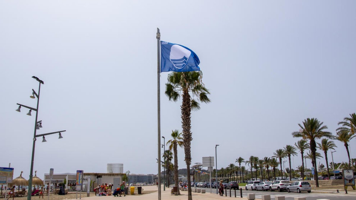 Imatge de la bandera blava a la platja de la Pineda de Vila-seca.
