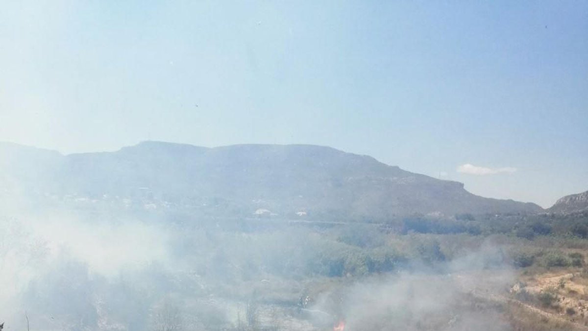 Imatge de l'incendi de vegetació a Picamoixons.