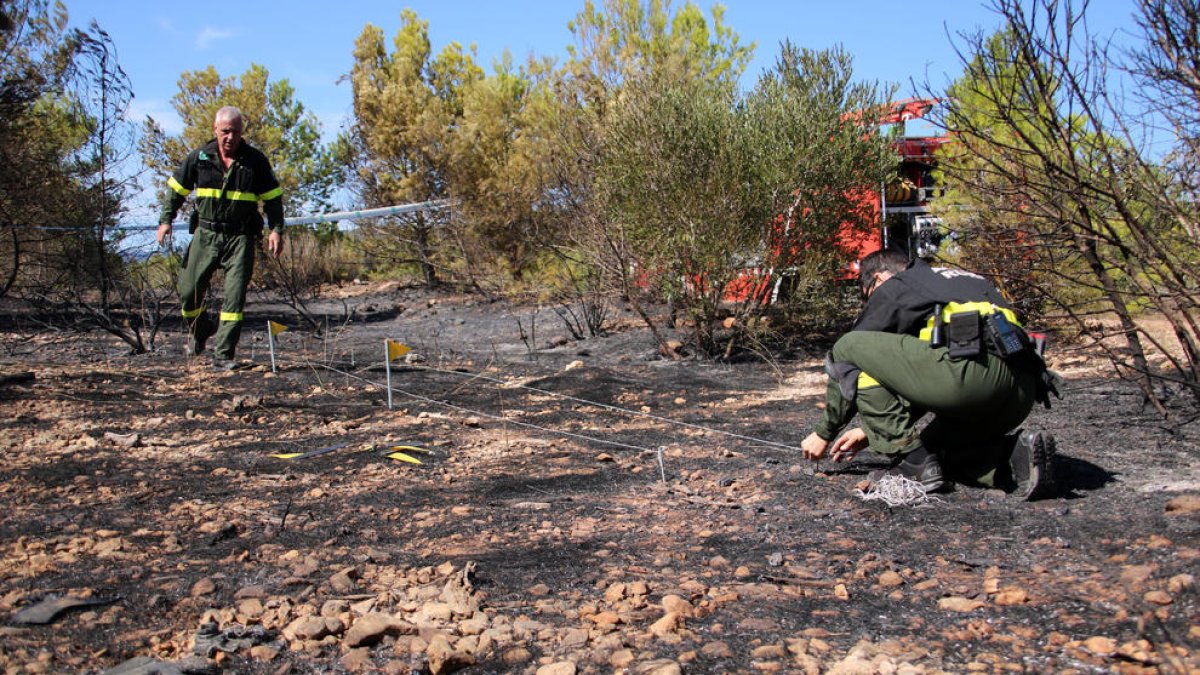 Los Agents Rurals investigando las causas del incendio de Mont-roig del Camp.