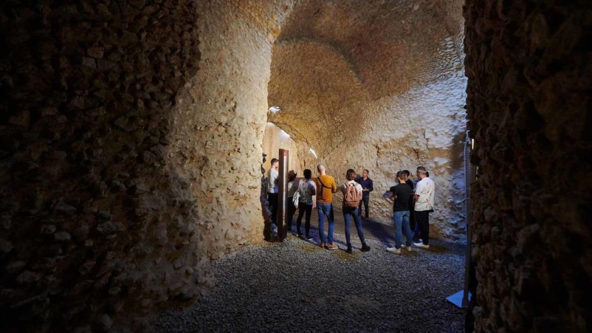 Els visitants es decanten pels tours on s'explica la història de Tàrraco i el patrimoni romà.