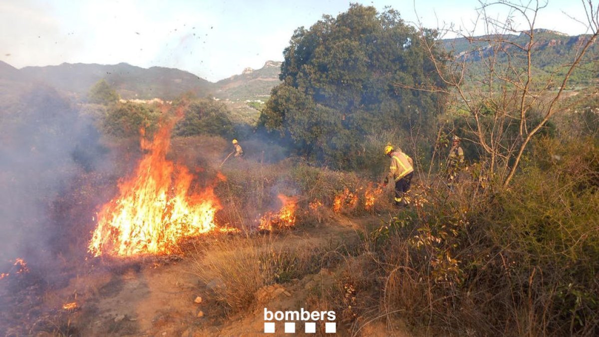 Imatge de l'incendi a Alforja.
