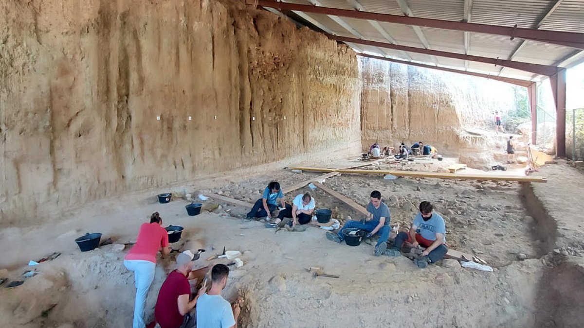 Excavació d'aquests dies en el sector la Mina, al Barranc de la Boella. Foto: Palmira Saladié/IPHES-CERCA