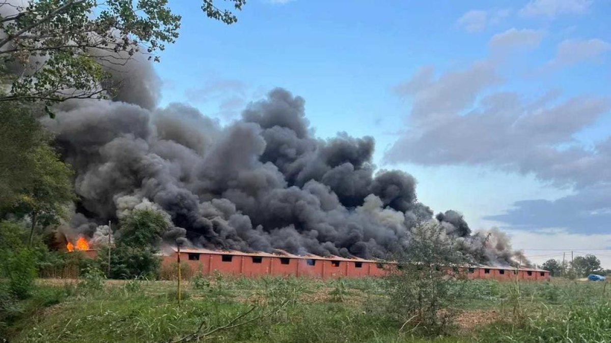 Un incendi en una granja de porcs a Cornellà del Terri, al Pla de l'Estany.