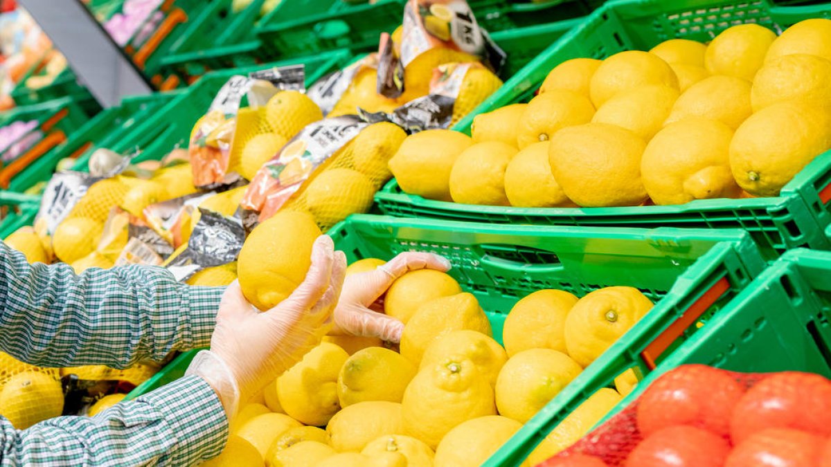 En su apuesta por la fruta y la verdura de proximidad, Mercadona comercializará cítricos procedentes de campos de la Comunidad Valenciana, Andalucía, la Región de Murcia, Cataluña y Canarias.