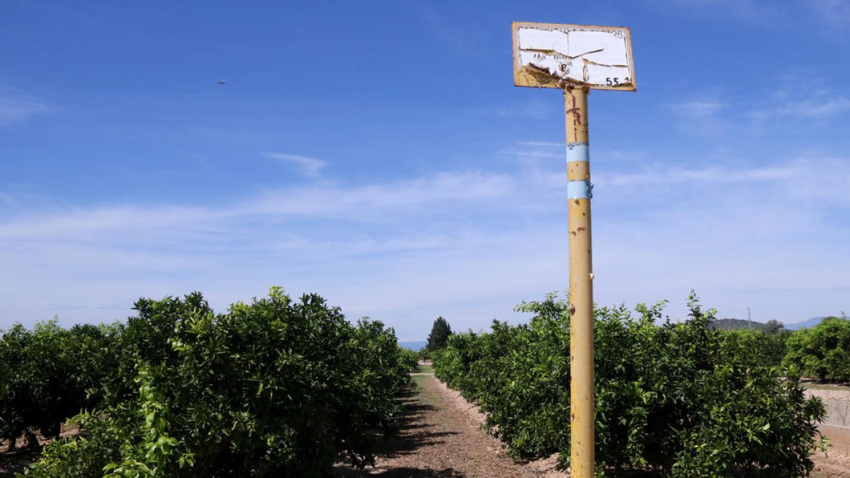 Hito del gasoducto terrestre del proyecto Castor entre la planta de operaciones y la costa, en el término de Vinaròs, en medio de un campo de cítricos.