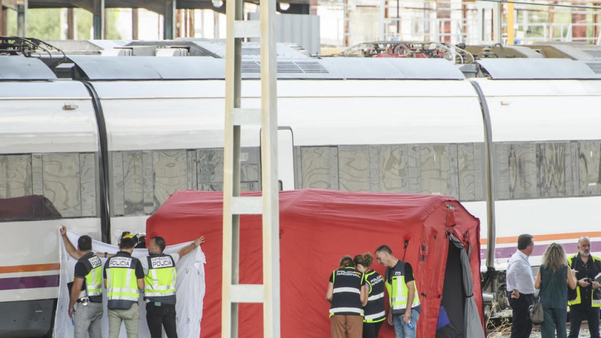 Agents del Cos Nacional de Policia, de l'UME i de seguretat de Renfe al costat del cos que ha estat trobat aquest dilluns entre dos vagons d'un tren a l'estació de Santa Justa de Sevilla.