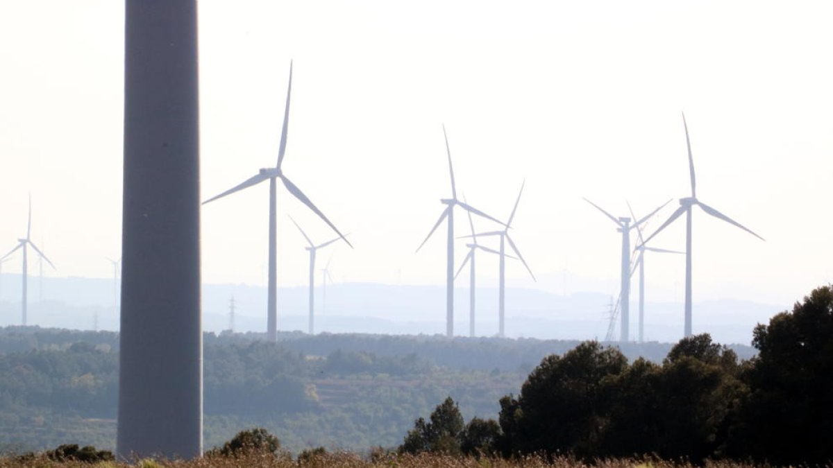 Plan general de algunos de los aerogeneradores en funcionamiento en la meseta de la Terra Alta, entre la Fatarella y Vilalba dels Arcs.