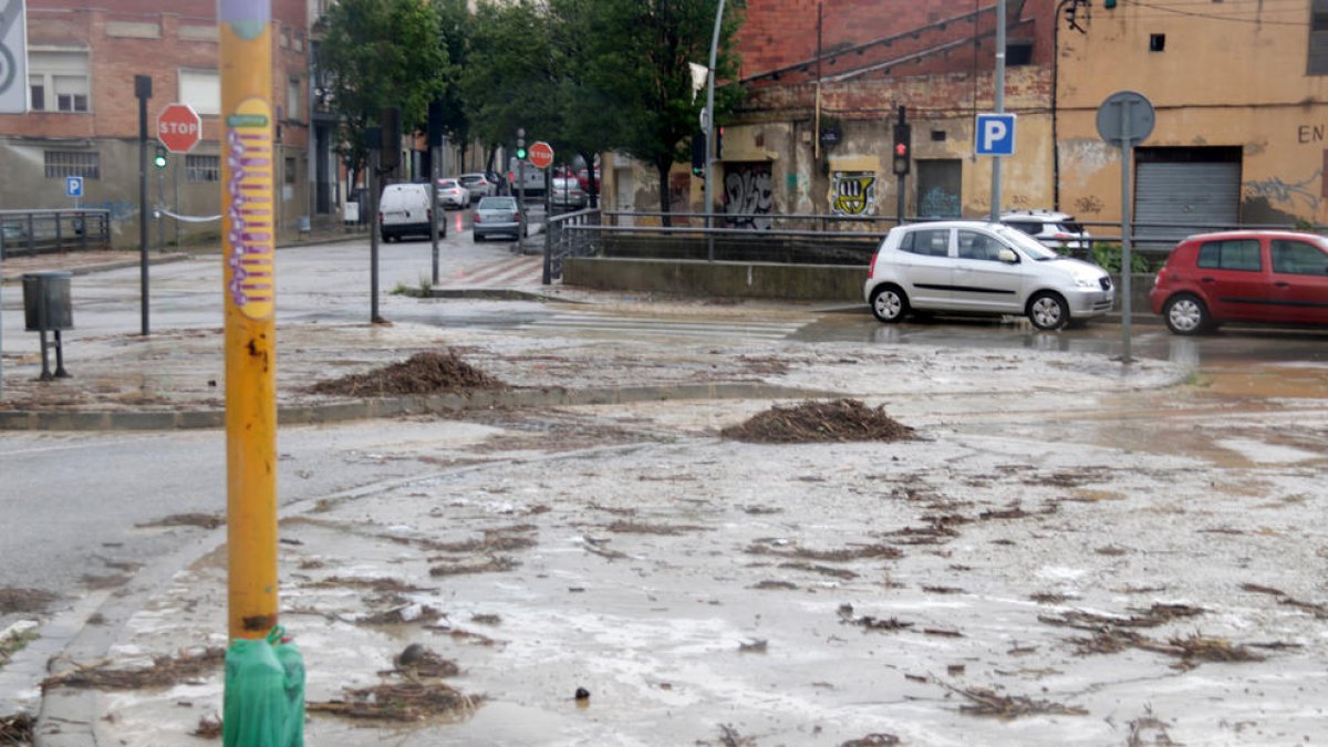 Imatge d'arxiu d'un carrer amb restes de plantes i branques.