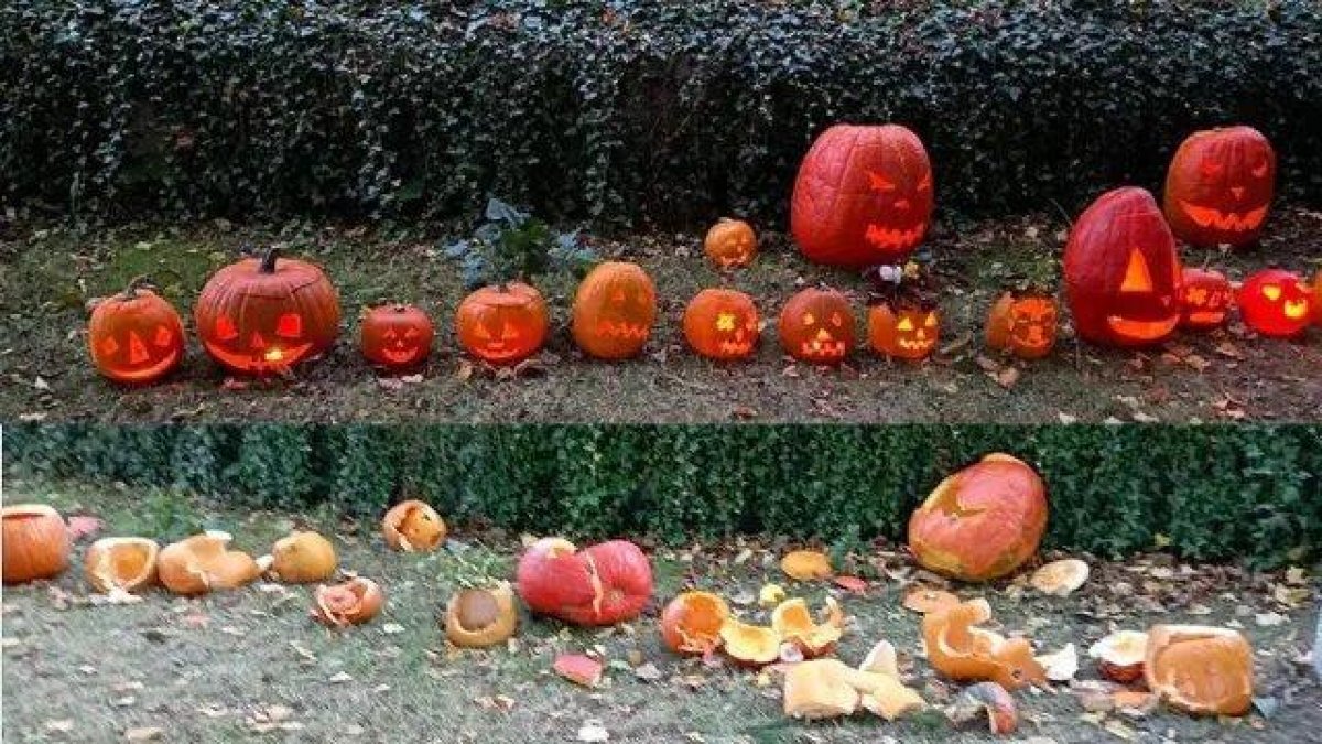 Calabazas destrozadas en el pueblo de Kurdejov