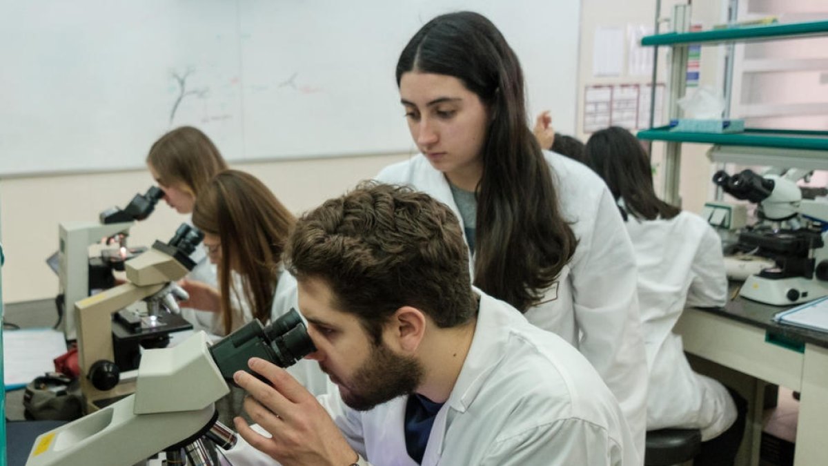 Estudiantes en el laboratorio de la Facultad de Medicina y Ciencias de la Salud de la URV.