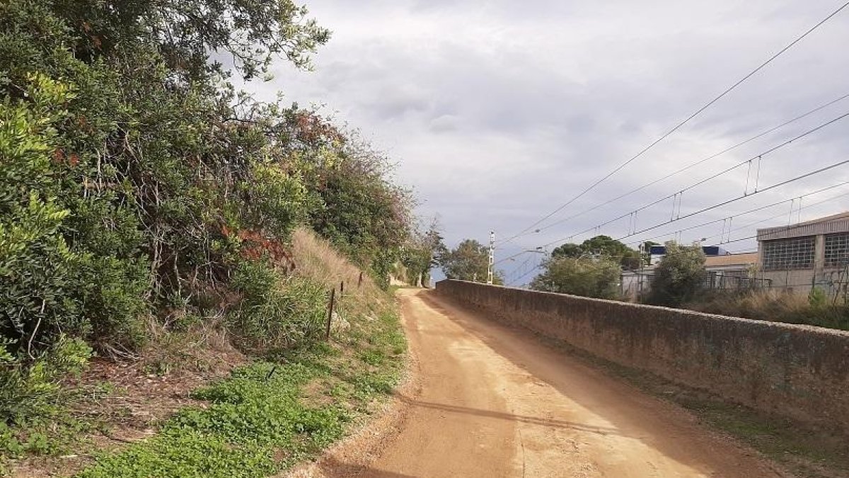 En concret, s'ha intervingut en la rehabilitació del ferm amb compactació d'àrids i anivellat de  diversos trams del camí.