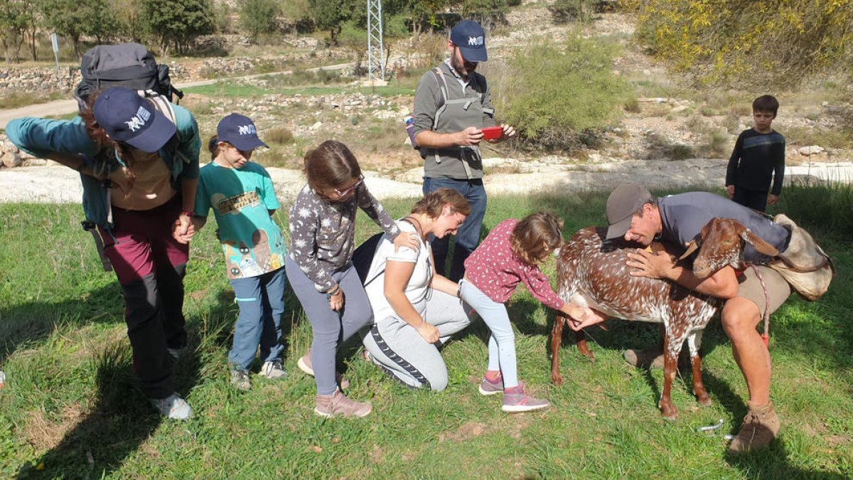 Participants de la ruta 'Un dia fent de pastor' munyint una cabra.