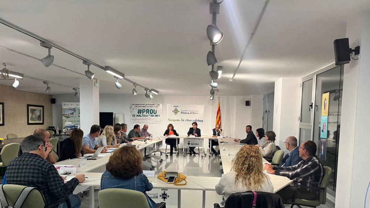 Consellers del Consell Comarcal de la Ribera d'Ebre durant la sessió plenària.