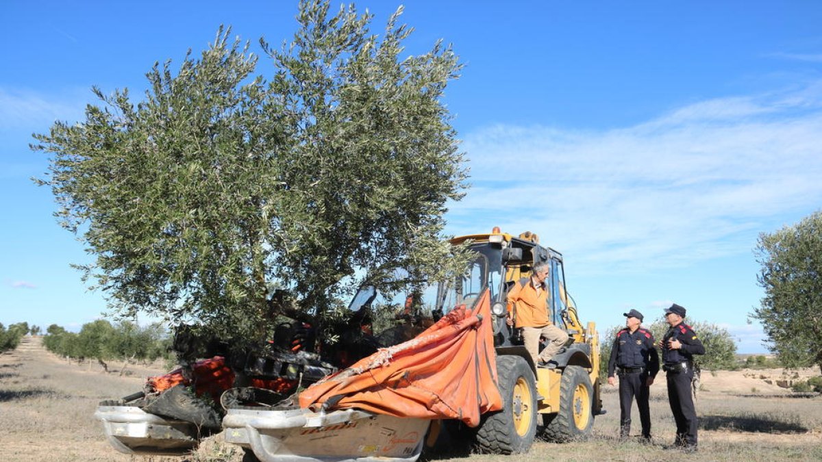Una patrulla de los Mossos d'Esquadra hace prevención de robos en campos de olivos en la Floresta.