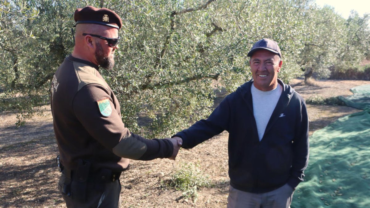 El guarda rural de Constantí saluda un pagès del poble que fa la collita d'olives.