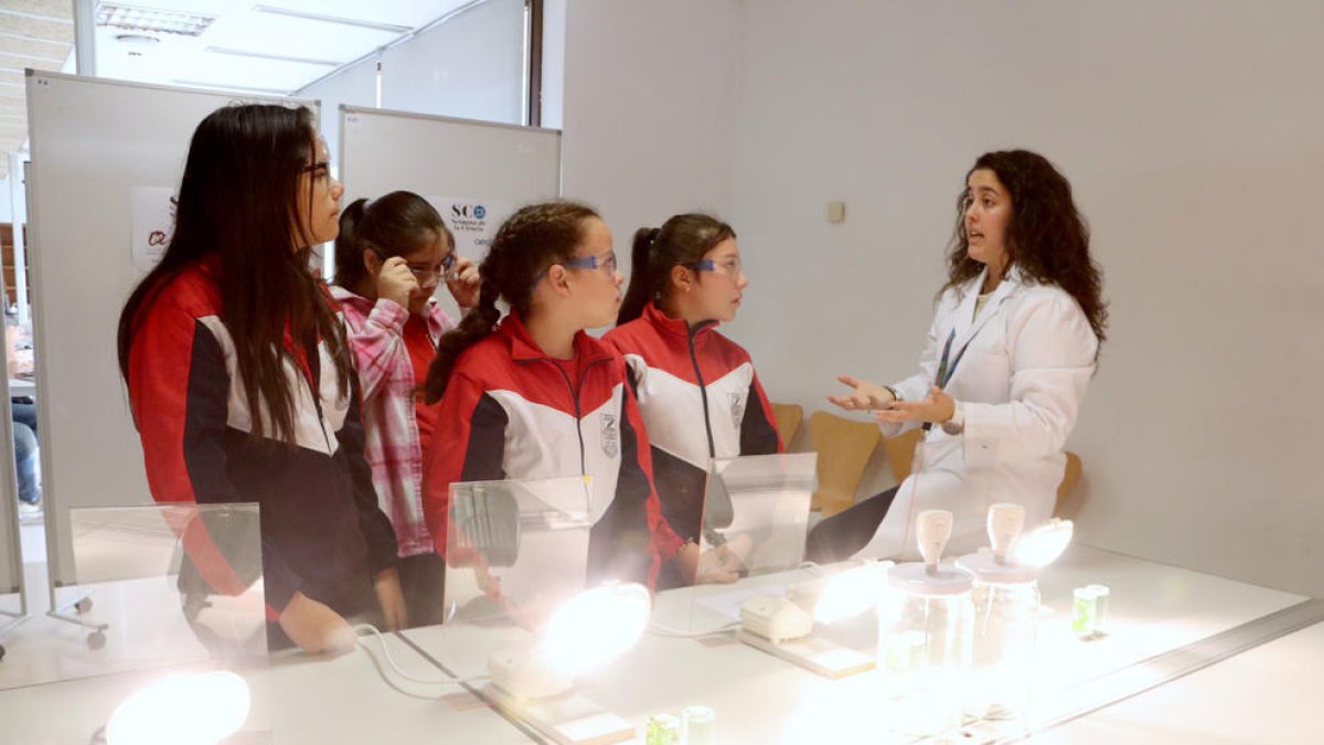 Un grupo de alumnos de la escuela Pau Delclòs de Tarragona participa en uno de los talleres experimentales de la Semana de la Ciencia de la URV.