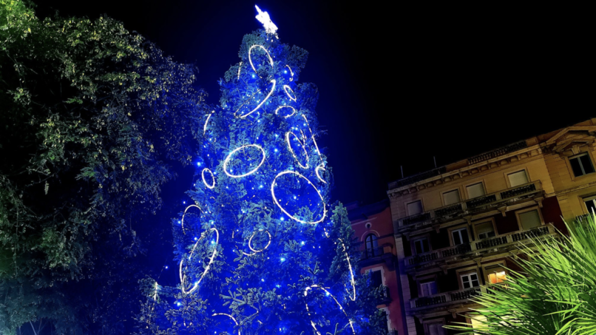 Imatge de l'arbre de nadal de Tarragona, il·luminat.