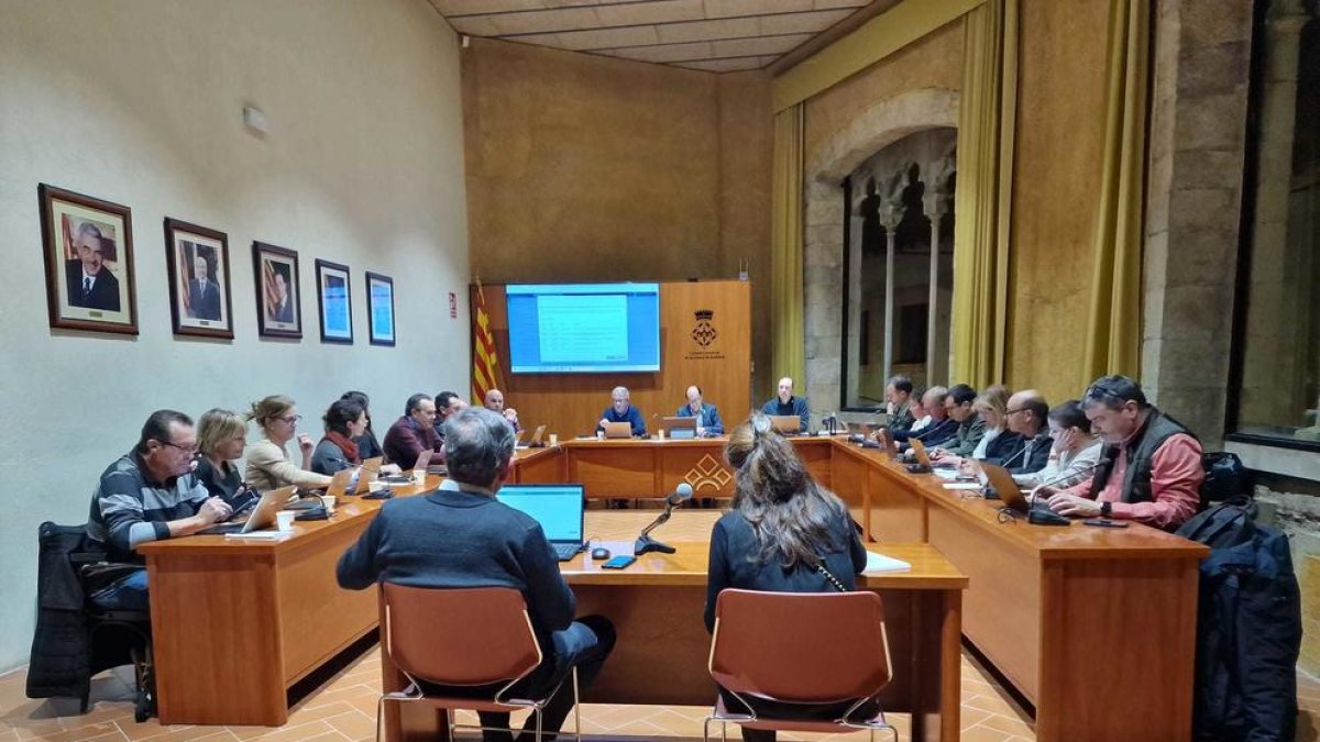 Imatge del ple del Consell Comarcal de la Conca de Barberà.