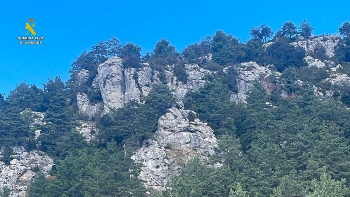 L'actuació ha estat possible gràcies a la col·laboració ciutadana, que va facilitar informació a través del número de telèfon 062.