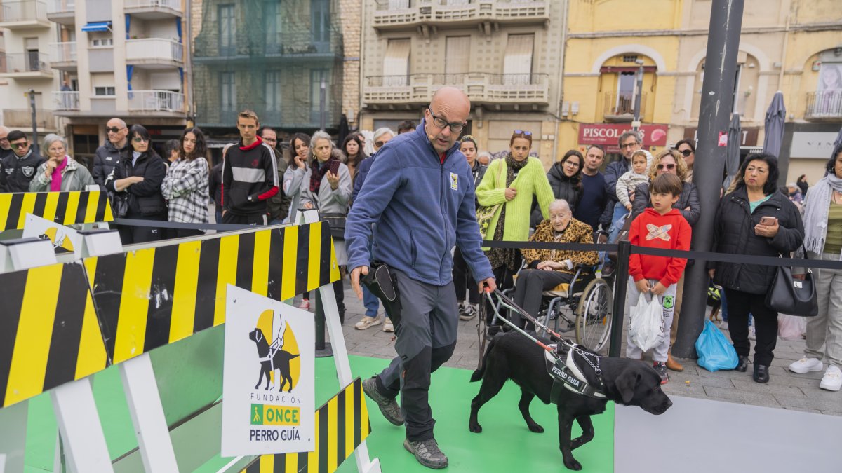 Es va muntar un circuit de 300 metres quadrats a la plaça Corsini, dividit en diverses zones.