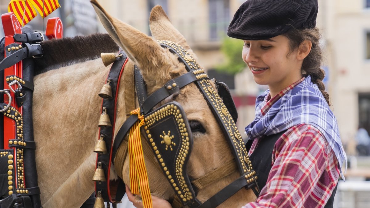 Un instant dels Tres Tombs de Tarragona.