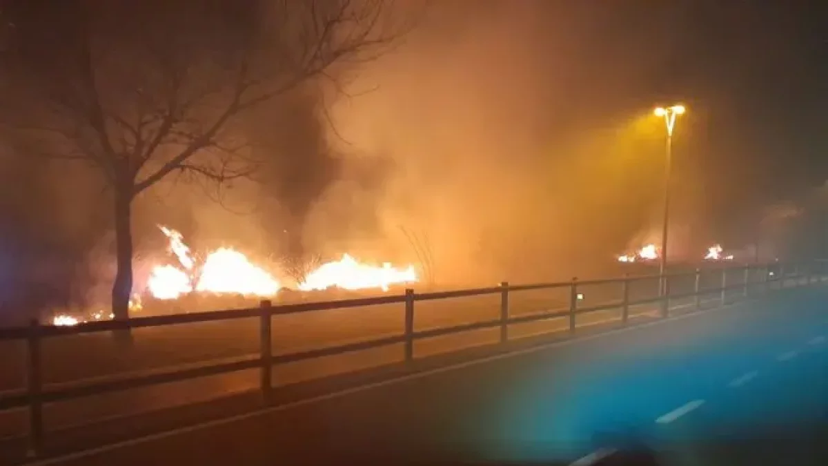 Imatge de l'incendi a Riumar, Deltebre.