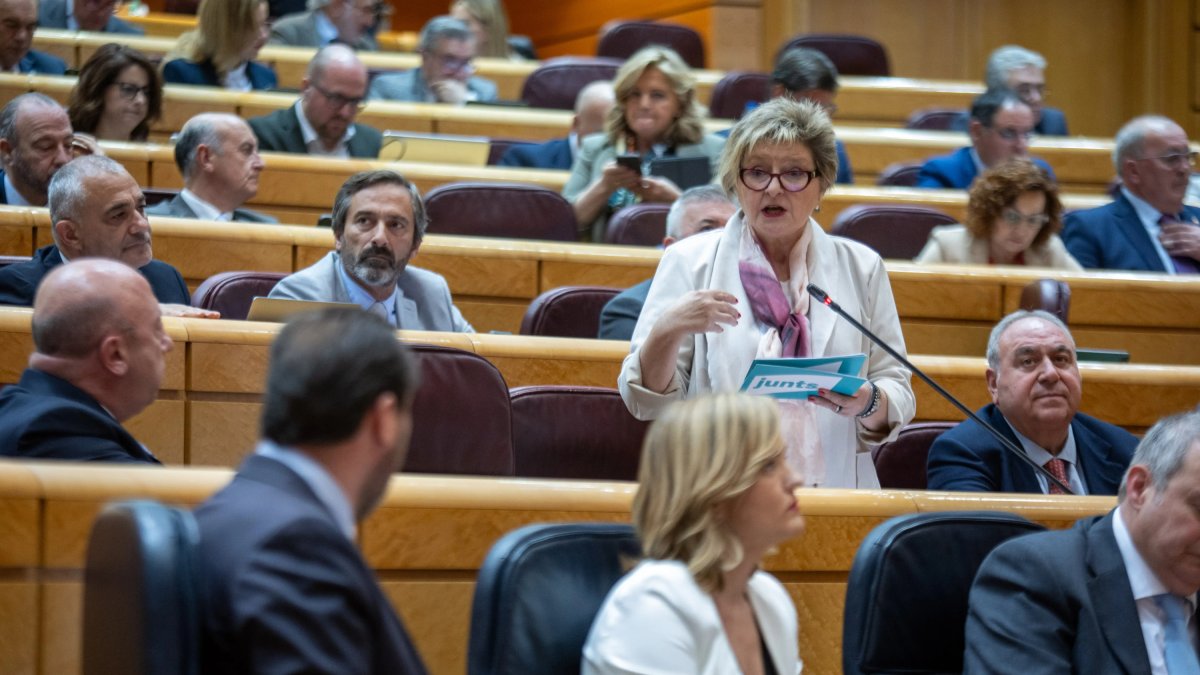 Teresa Pallarès es dirigeix al Ministre de Transports i Mobilitat Sostenible, Óscar Puente, a l'emicicle del Senat.
