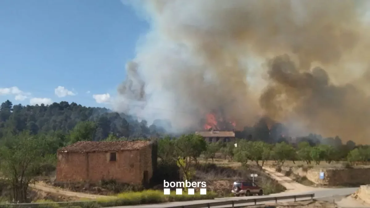 Imatge de l'incendi d'Horta de Sant Joan.