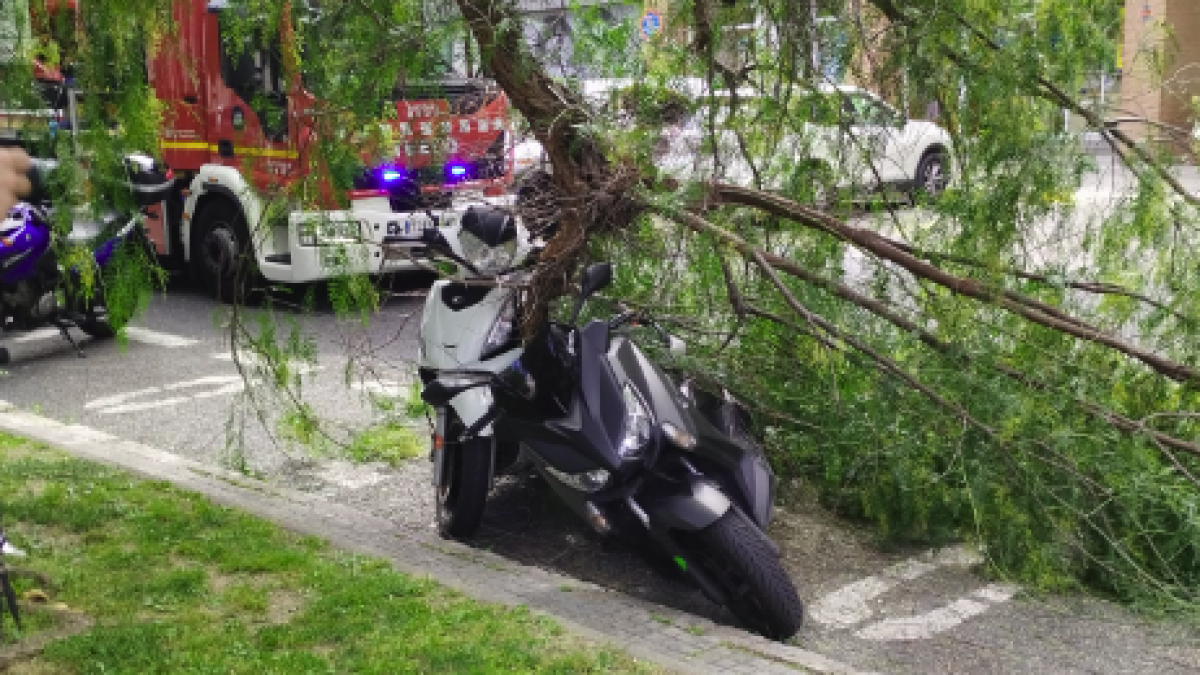 Imatge de dues de les motocicletes afectades per la caiguda d'una branca d'un arbre al carrer Enric d'ossó de tarragona.