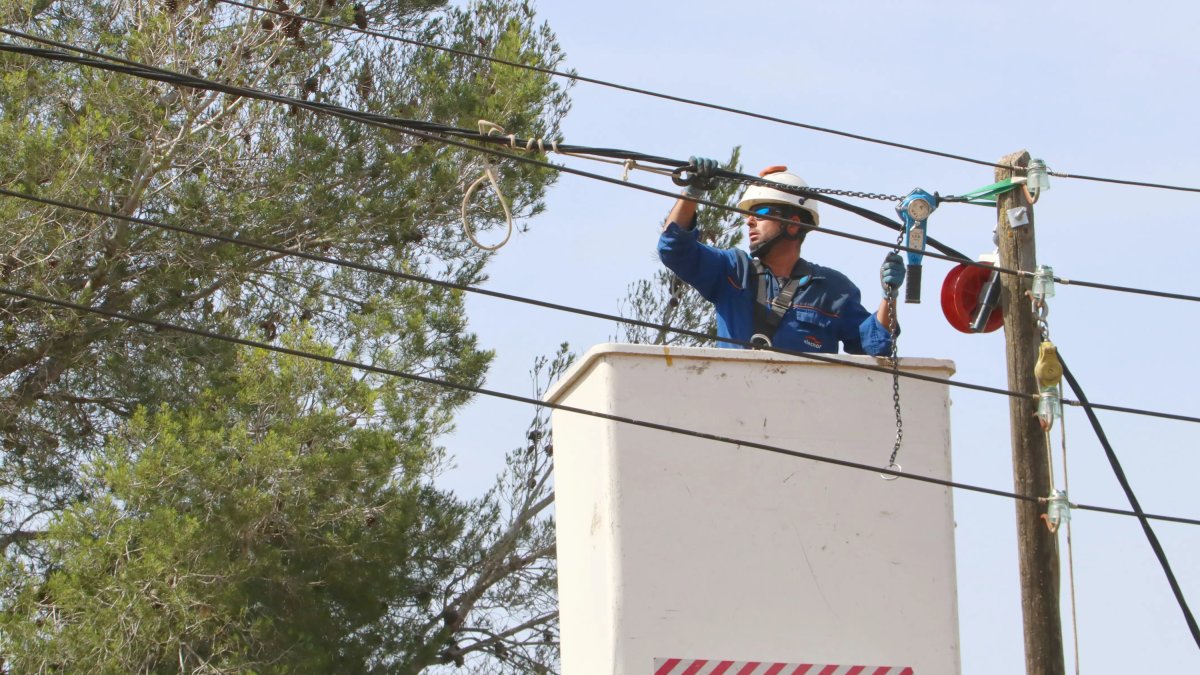 Un operari d'Endesa treballa en la substitució del cablejat convencional en cable trenat  a Montferri.